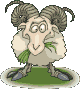 sheep.gif